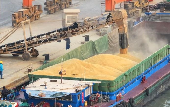 Новини України - "Вивезення мільйонів тонн зерна з України": урядовцю РФ повідомлено підозру