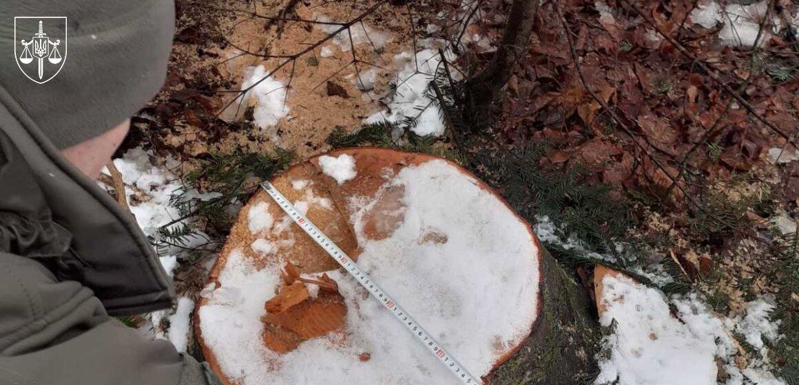 Новини України - Суд розгляне справу ексочільника ДСНС, який "розчистив" заказник на 7 млн